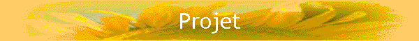 Projet