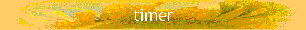 timer
