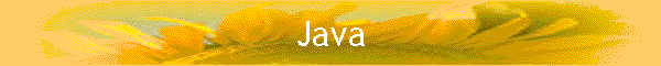 Java