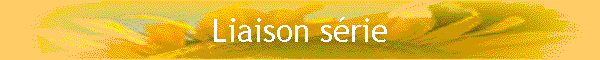 Liaison srie