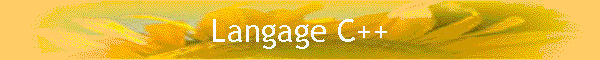 Langage C++