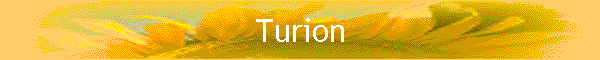 Turion