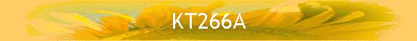 KT266A