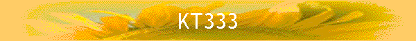KT333