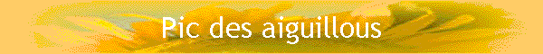 Pic des aiguillous