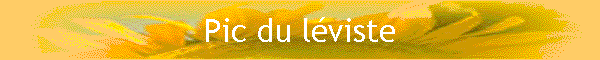 Pic du lviste