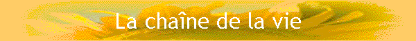 La chane de la vie
